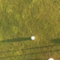 golf team putting